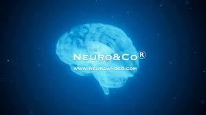 NEURO CONNECTS