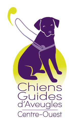 Chiens guides limoges