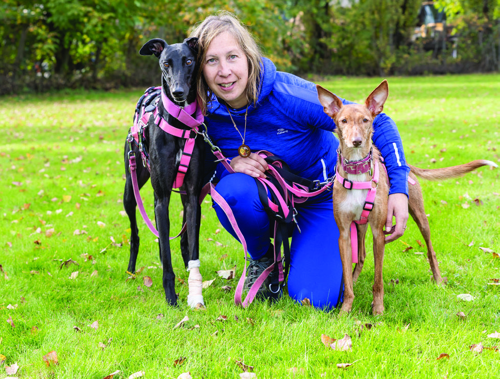 Plumes d’Anges : communication animale, nature & énergie