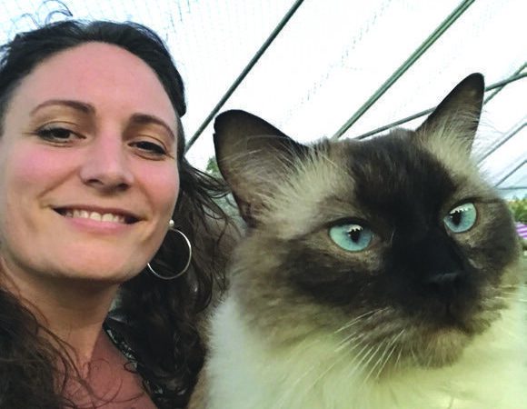 CHATS AND CO – Une pension pour chats pas comme les autres 