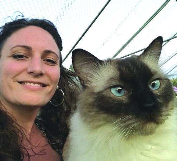 CHATS AND CO – Une pension pour chats pas comme les autres 