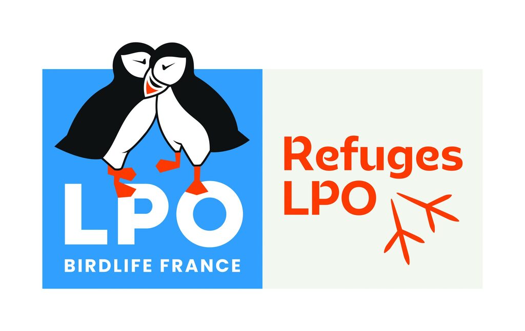 LPO