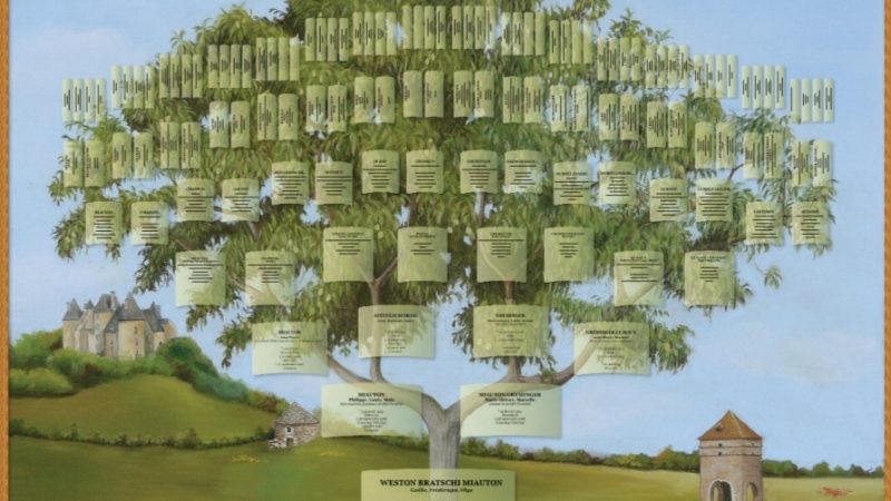 Quand la généalogie devient une histoire vivante avec GeneaWeB 