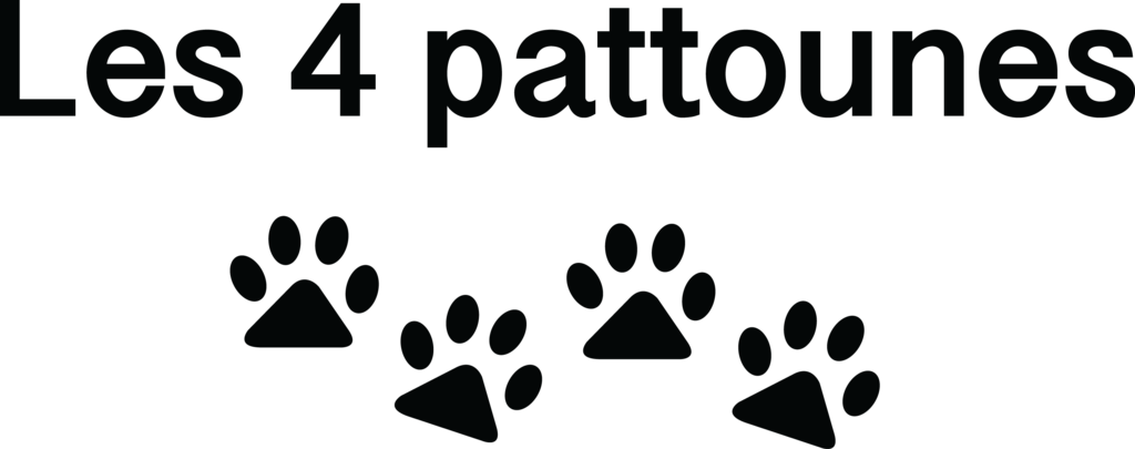 LES 4 PATTOUNES