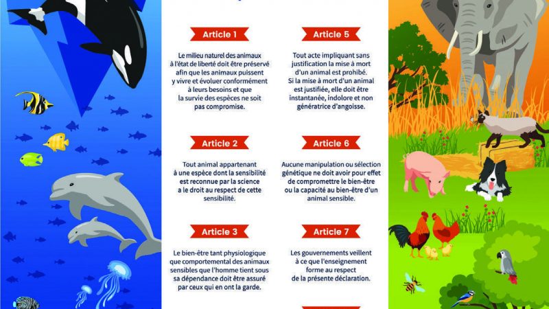 LFDA : défendre les droits des animaux pour mieux les protéger