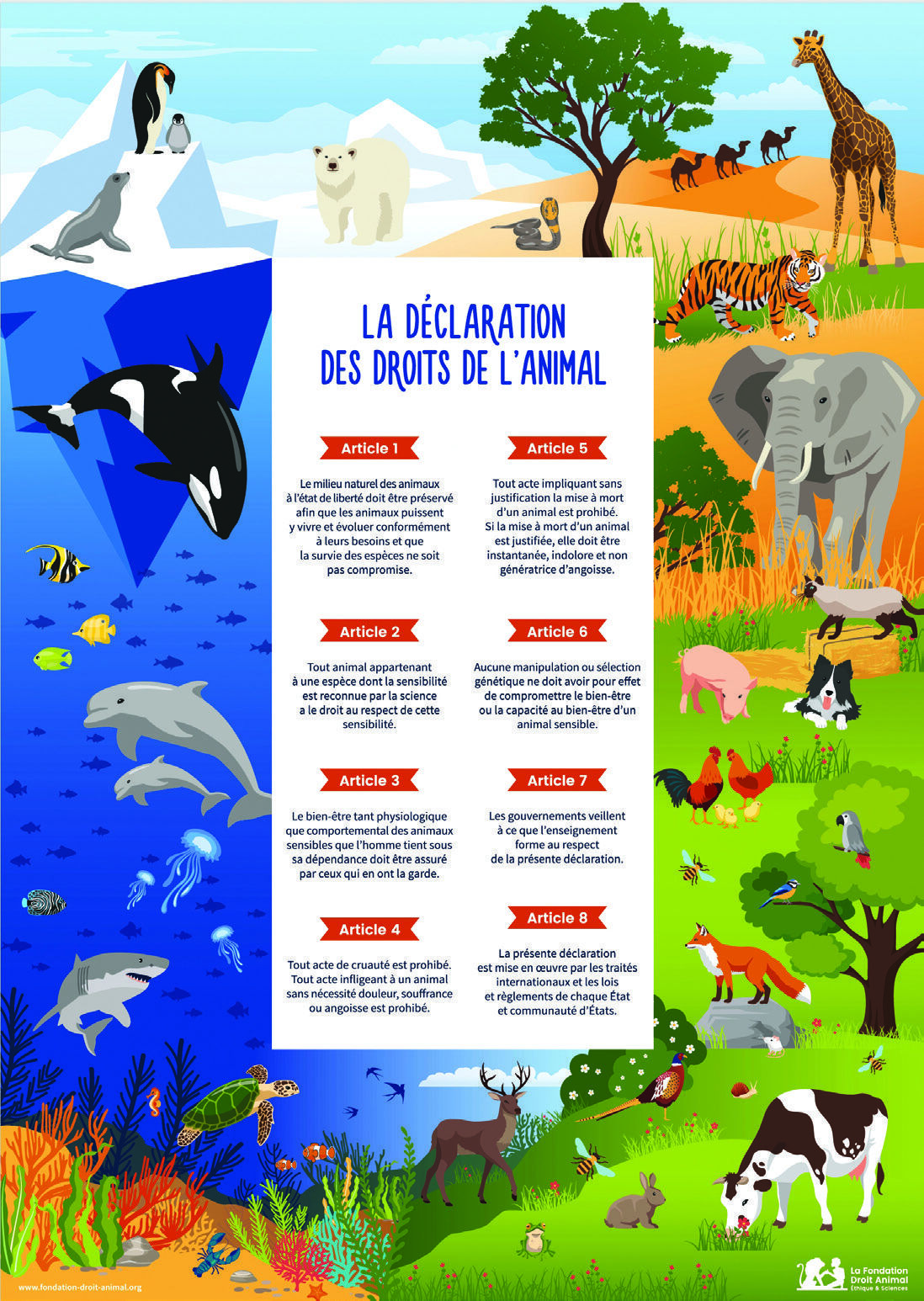 LFDA : défendre les droits des animaux pour mieux les protéger