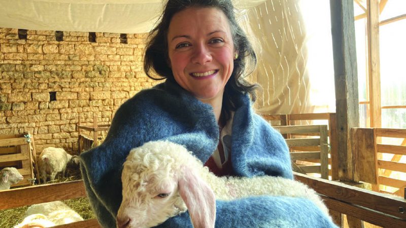 Mohair du Mellois : le mohair de France au cœur des Deux-Sèvres